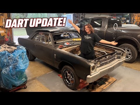 We let the AMISH Build Allison's 8.50 Cage for the Dart!