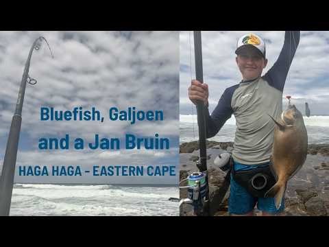 EPIC EDIBLE SESSION AT HAGA HAGA - Bluefish/Bronze Bream, Galjoen and a Jan Bruin