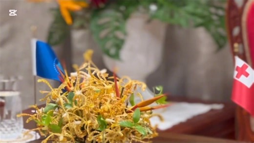 WELCOME TO TONGA ..❗️ 🔆 CRGA55 & 14th Conference of the Pacific Community Countdown .. 🔆 ..proudly brought to you by the Tonga Broadcasting Commission 📍 ... join us on Radio & Television Tonga and streaming #LIVE on our Facebook page and YouTube Channel https://youtube.com/@tbctech-t8e?si=ZniJSzAJN9LAbiTA 🌴 #spc14thconference | Tonga Broadcasting Live Streaming