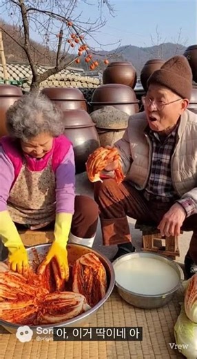 김장 #김장#김치#kimchi