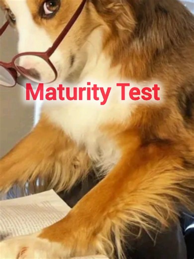 maturity Test 🧠😆 #maturitytest #test #funny #fyp #viral #usa #usa🇺🇸