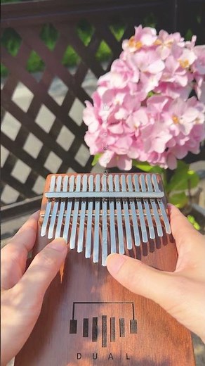 【Kalimba Cover】Last Rain / Saigo No Ame / Yasushi Nakanishi
