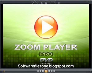 Zoom video download