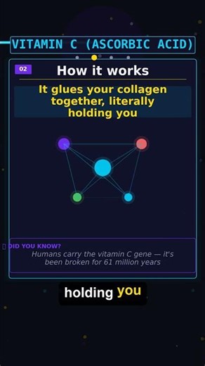 Humans are genetically broken — we lost the ability to make vitamin C