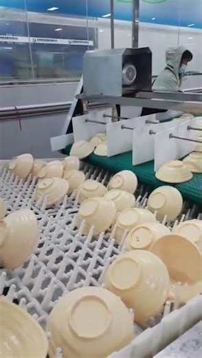 Revolutionize Your Production: The Melamine Bowl Washing Line That Sets the Standard. #dishwasher