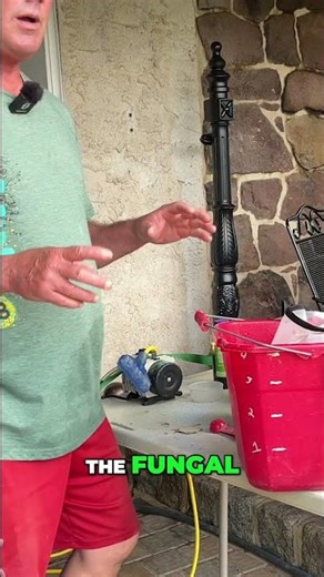 DIY Compost Tea Recipe: Grow a Lush Garden Naturally! #shorts