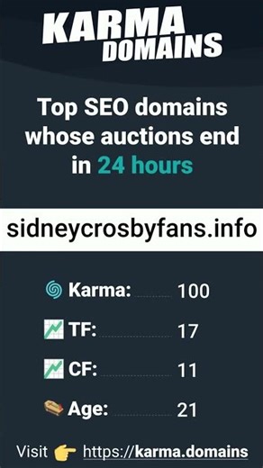 19-11-2025 Top SEO domains whose auctions end in 24 hours!