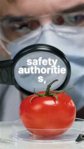 Did You Know Humans Eat Over 1,000 Insects Without Realizing It 🐜😱