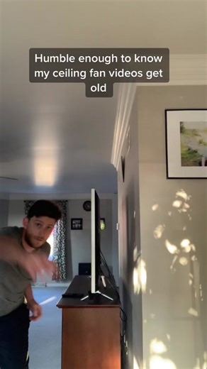 Hilarious Ceiling Fan Insights That Will Make You Smile