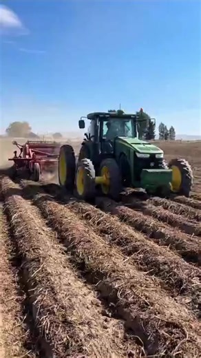 Tehren Likes on Instagram: "If you have ever wanted to know how potatoes are harvested watch this video #agriculture #farmer #farm #potato"