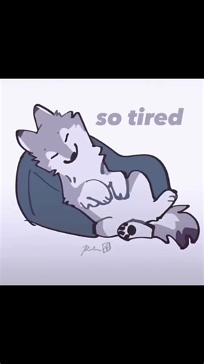 Bailes Divertidos con Gatitos: Boykisser Dance