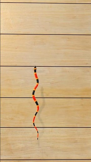 CAT GAMES 🐾 CAT TV | 3D Game for Cats | Videos for Cats to Watch Snake | 4K60FPS