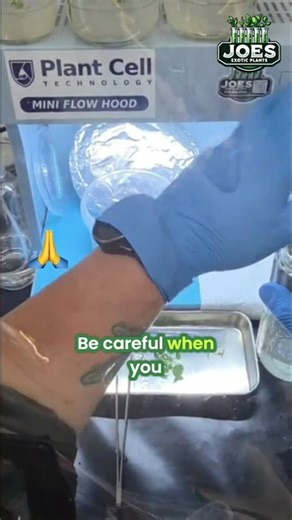 Opening Biocouplers: Careful Leak Check Demo #shorts