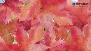 In the eco-conscious oasis of Provident Deansgate, we transform organic waste into nutrient-rich compost through our state-of-the-art Organic Waste Converter (OWC). Our commitment is to diminish waste, repurpose resources, and ensure a greener future for generations to come. Experience a botanical paradise thriving year-round at Provident Deansgate. #ProvidentHousing #MoreForSure #Manchester #EnglishLiving #ProvidentDeansgate #ProvidentInNorthBengaluru #HomeBuyers #townhouses #ManchesterInspired