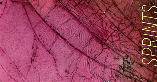 Album review: Sprints – All That Is Over