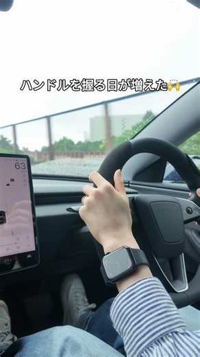 車が変わると、夫婦の時間も変わる？🚗 #テスラ #モデル3 #カーライフ #夫婦の日常 #tesla