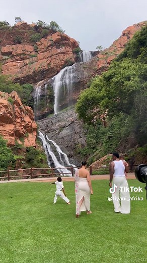 Exploring the Beauty of Johannesburg's Botanical Gardens
