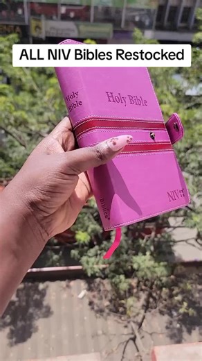 Affordable NIV Bibles Restocked - Shop Now