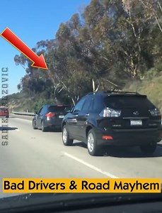 5.6M views · 10K reactions | Bad Drivers & Road Mayhem | Sadik Hadzovic | Facebook
