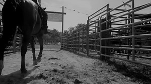 When years of work come down to seconds of action, give yourself every edge by choosing ProForce. | Nutrena Feed