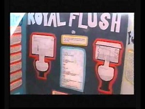 Science Fair projects - examples and display ideas