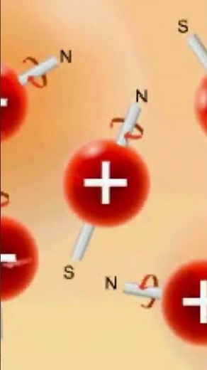 Nuclear spin in a magnetic field #subatomicparticles #nuclearfission
