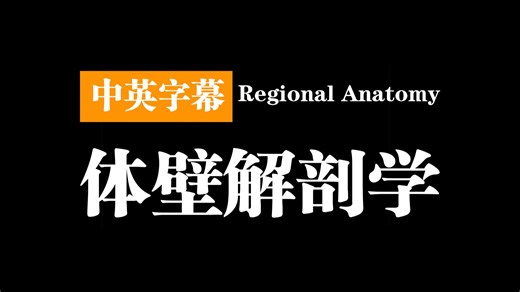 体壁解剖学 | Regional Anatomy