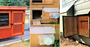 10 DIY Automatic Chicken Coop Door Ideas and Plans