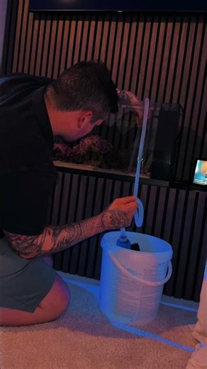 First waterchange and clean on the Tmc first wave 78!