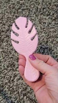 Wet Brush Go Green Mini Detangler Review! ✨ Travel Hair Brush 🌿