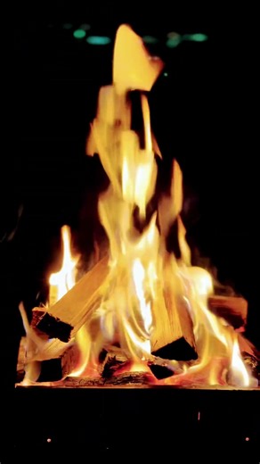 🔥 Nothing but Fire & Peace 😌