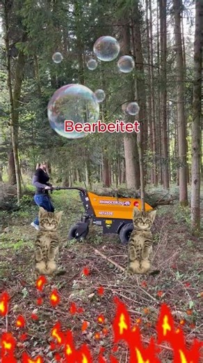 Warum es so wichtig ist Videos zu bearbeiten