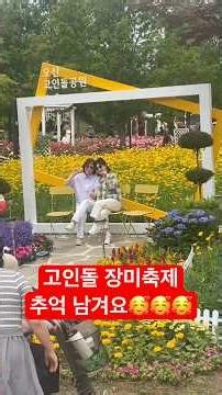 고인돌 장미축제 예쁜 꽃 마니마니 구경 하세요🥰🥰🥰