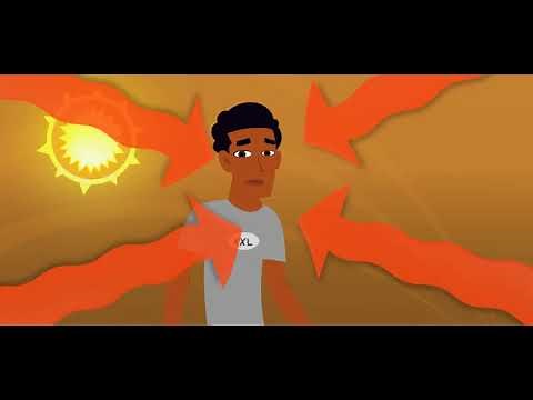 Scholastic - Study Jams - Water Cycle