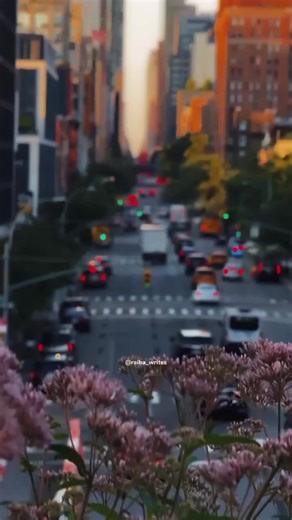 Unlocking Your Social Media Account Growth Strategies