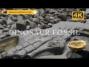 🦖🌊 Exploring Inverloch's Dinosaur Dreaming Fossil Site & Rockpools | Gippsland Victoria, Australia