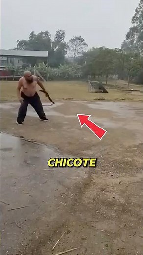 Esse é o PODER de um CHICOTE! #curiosidades #ciencia #fatos