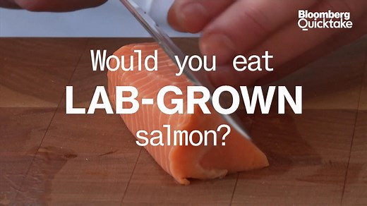 Would You Eat Lab-Grown Salmon?