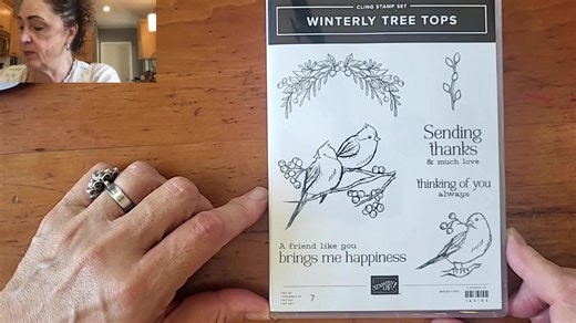 43 reactions · 4 comments | Stamping Through My Stash video features a sneak peek of Winterly Tree Tops which will be available in the upcoming holiday mini catalog. Demonstrators who signed up for the online event Creativity Now later this month got to preorder this suite. | The Pampered Stamper | Facebook