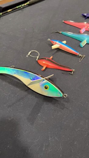 Birds Catch Big Fish! A Unique Marlin Fishing Strategy Revealed