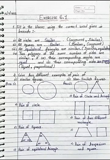 Class 10th Maths CHAPTER 6 TRIANGLE || EXERCISE 6.1 || Complete Solution