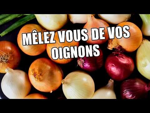 The Onion Strikes Back: An Investigation into a Vegetable That Makes You Cry