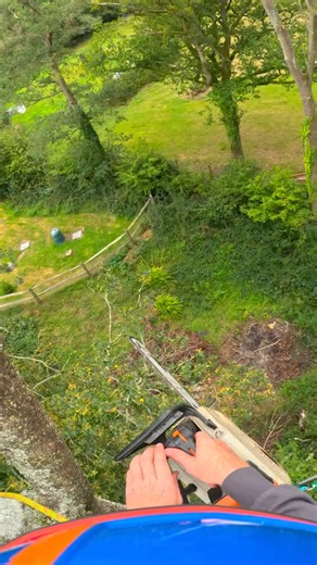 3.9K views · 29 reactions | Tree removal? Why not make it a POV with the Protos Cam Mount. Available on our website ⤵️ https://honeybros.com/shop/ppe-clothing/protective-headwear/helmets-protective-headwear/helmet-accessories/spares-attachment-helmet-acc/protos-mount-for-actioncam/  Michael Curwen PROTOS Integral #HoneyBros #HoneyBrothers #ProtosHelmet | Honey Brothers Ltd - Arboricultural Equipment Specialists | Facebook