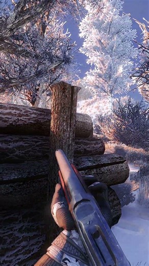 💀 The most powerful gun in Stalker Gamma ? #shorts #stalker2 #stalkergamma #gaming #gameplay