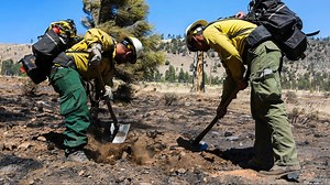 Sheriff's office: Flagstaff-area 'Tunnel Fire' burned 30 homes