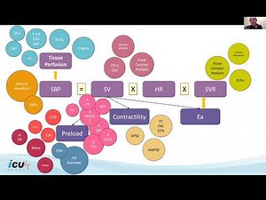 Hemodynamic Assessment in Critically Ill Patients