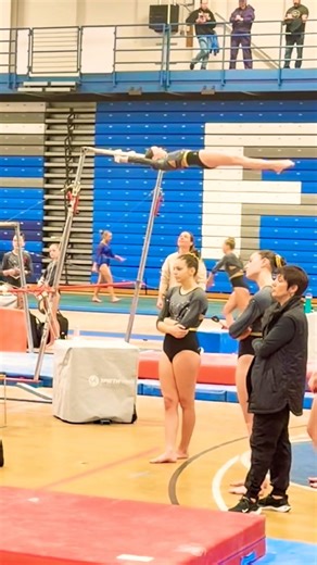 Xcel Platinum Bars #gymnastics