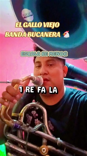 El gallo Viejo 🐔 tutorial Tuba #reels #TlapaGro #viralvideo #tutorialesTrompeta #banda Disculpen el sonido amigos, la verdad no es la misma boquilla que la trompeta 🤭