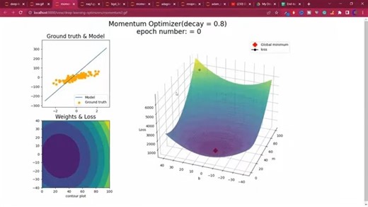 Adam Optimizer Explained in Detail with Animations