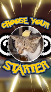 Which Starter Pokemon are You Choosing? (7th edition) Comment Down Below! #pokemon #pokememes #pokemonmemes #catmemes #pokemonedit #gamingmemes #nintendo #nintendods #cats #gaming #pokemongo #nostalgia #funnycats #reels | Benjaminscabin